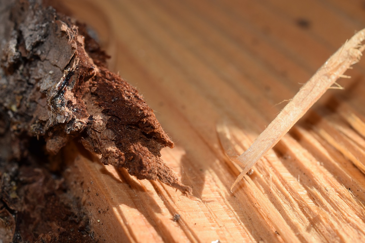 Top 5 Techniques for Eco-Friendly Weed Control